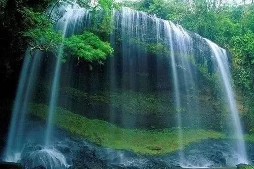 熊出没水果大陆2
